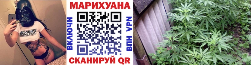 Шишки марихуана план  блэк спрут сайт  Реж 